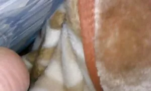 Kamera tersembunyi berpaling kaki pelajar sekolah lucah di hotel