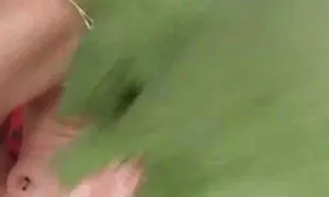 Yang di jolok nonok Tiger mainan